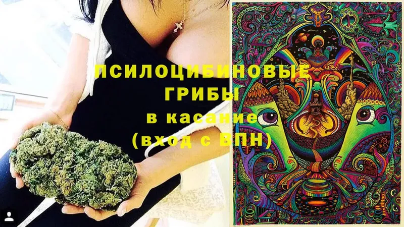 Галлюциногенные грибы Magic Shrooms  Гусиноозёрск 